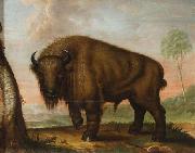 unknow artist Wisent France oil painting artist